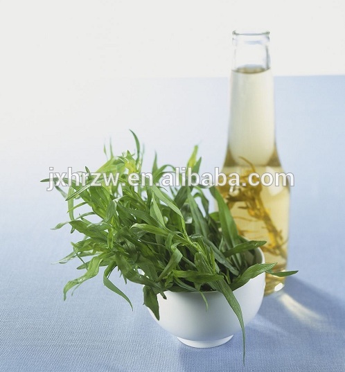 Typ produktu na jednotlivé bylinky a koreniny a proces sušenia Olej z listov estragónu