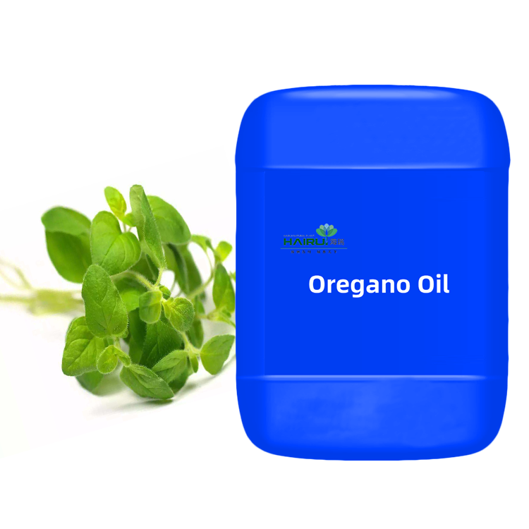 directly factory supplier pure extract Oregano Oil