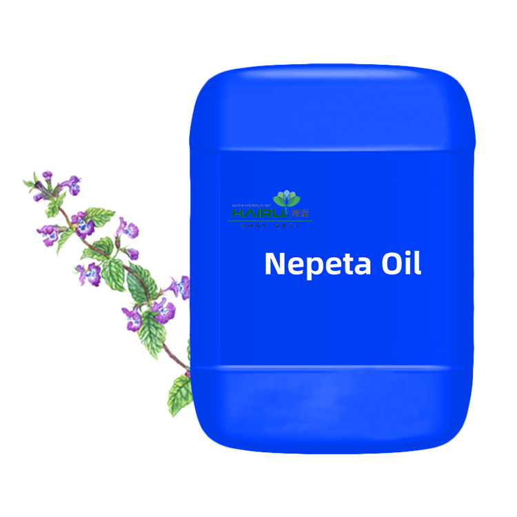 औषधिको लागि उच्च गुणस्तरको Nepeta तेल आवश्यक तेल