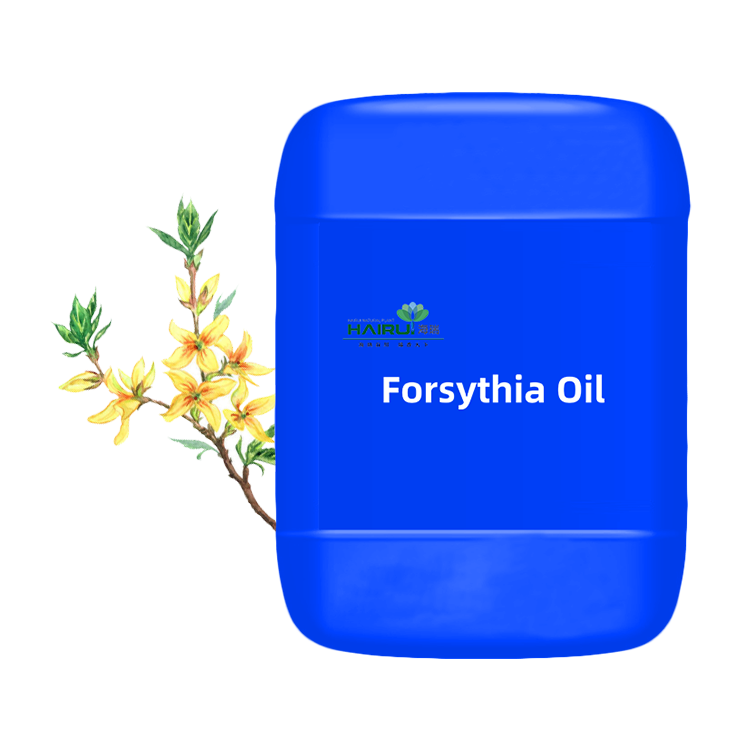 Forsythia Oil d'alta qualità oliu essenziale Erba cinese