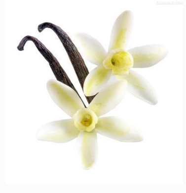 Minyak esensial vanila pewangi membuat lilin