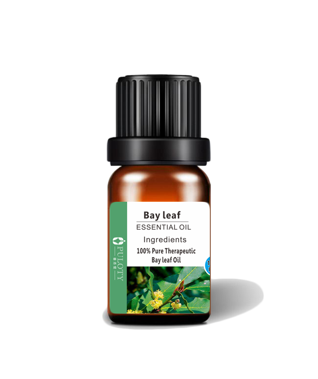 Free Shopping Top quality Bay Leaf Essential Oil bakeng sa Sesepa