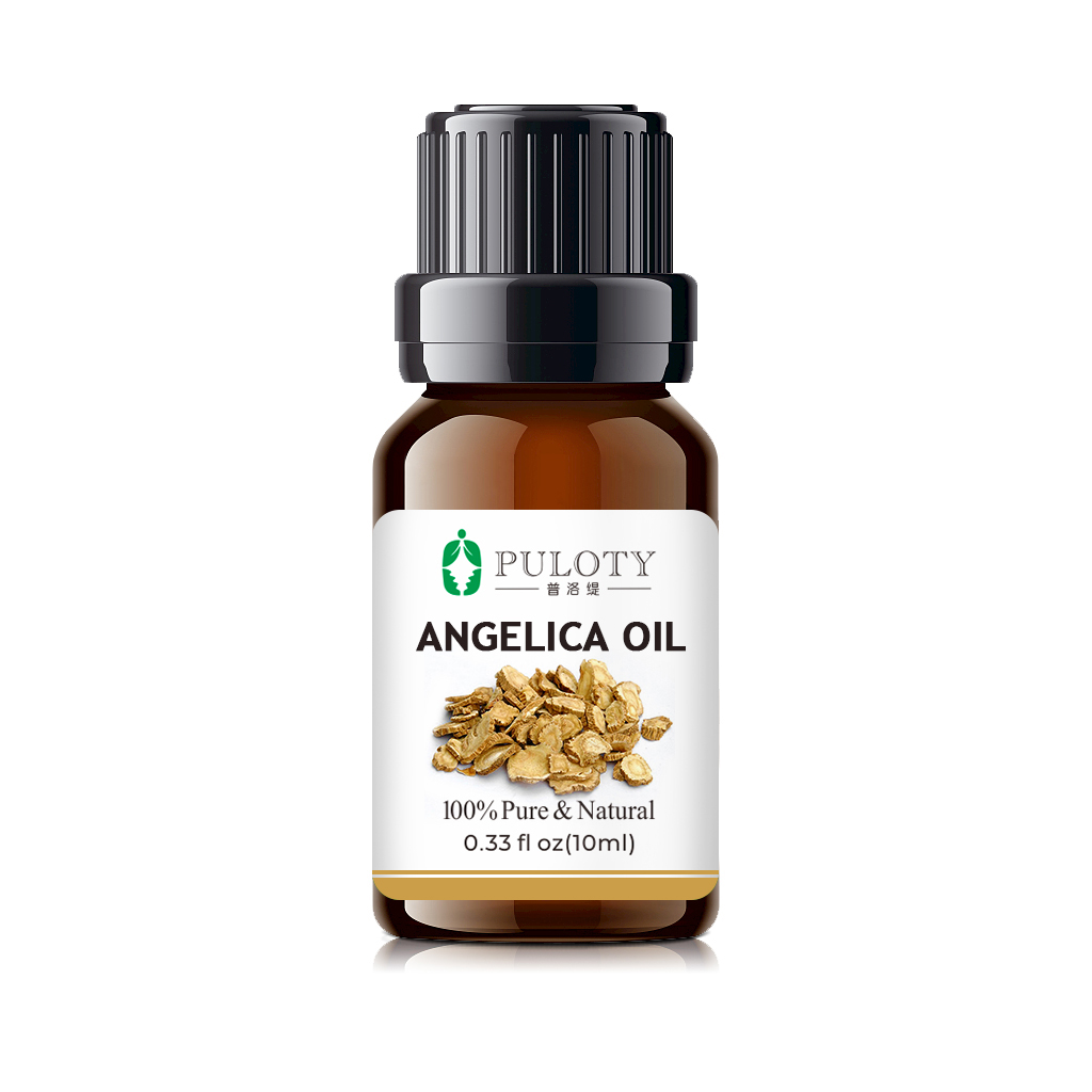 High Quality Angelica Dahurica Oil