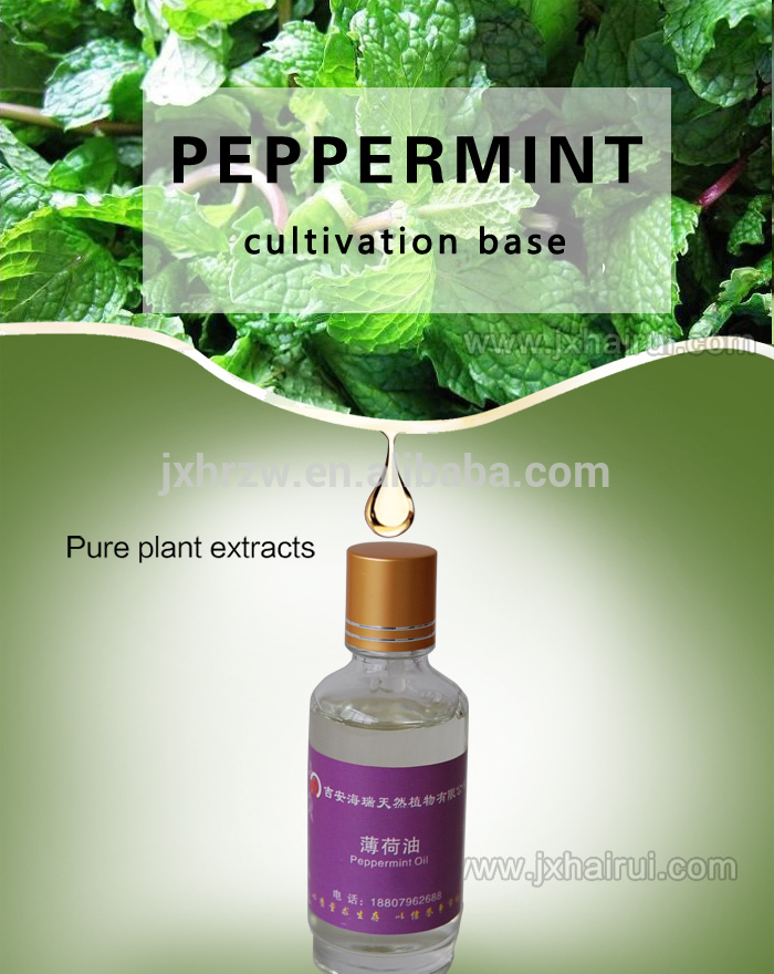 Bulk Prices For Natural peppermint essential oil beauty massage aroma diffuser oil