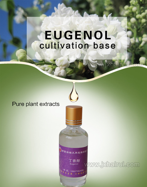 Eugenol puro para fragrância