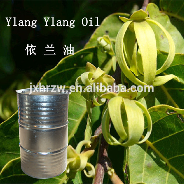 Ylang Ylang Oil Sexy Oil For Human Body