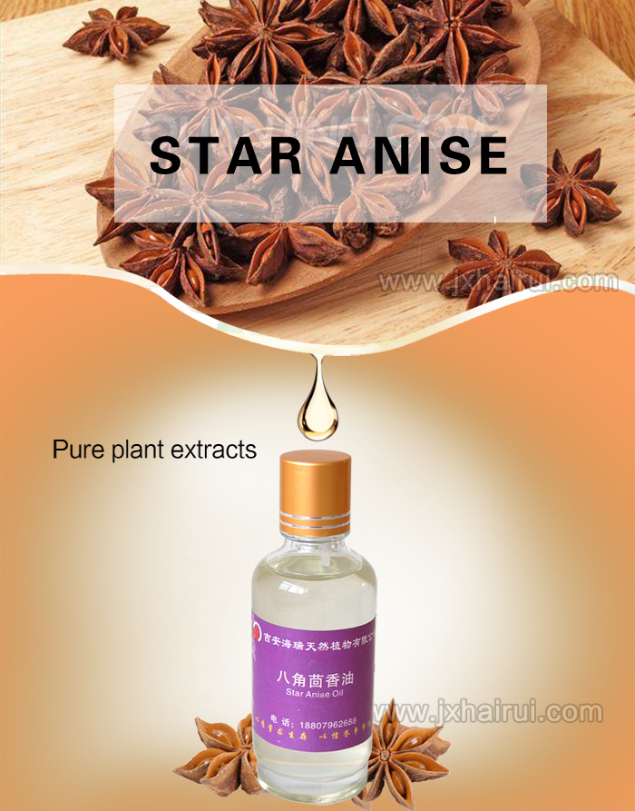 Pure Star Anise Oil extraction