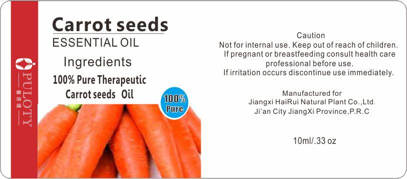 Aceite de semilla de zanahoria orgánico de aceite de belleza básico para el cuidado de la piel.