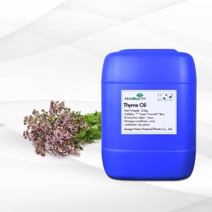 Ekstrak Tumbuhan Alami Minyak Thyme Anti Inféksi pikeun Minyak Atsiri Rambut Thyme