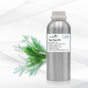 Óleo essencial de árvore de chá cosmético por atacado, agente antibacteriano de acne, óleo de árvore de chá