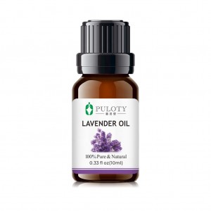 Lavendel oalje foar aromatherapy en massaazje
