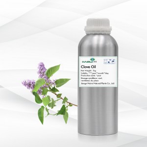 Voedselgraad-naeltjie-olie Aromaterapie-graad-naeltjie-essensiële olie