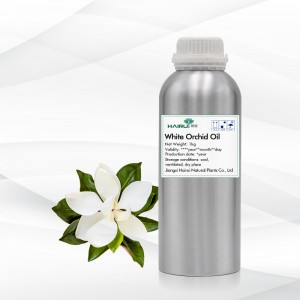 Aus Blumen gewonnenes ätherisches Michelia-Öl