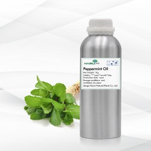 Pharmaceutical grade peppermint oil