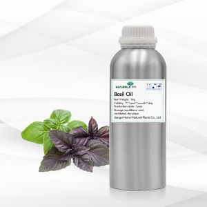 High Quality Suitable Price Basil Oil