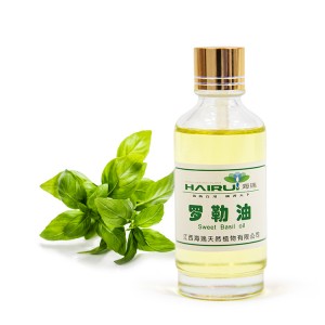 High Quality Suitable Price Basil Oil