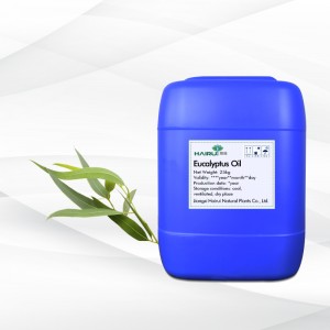 Plant Perfume Idea Product Eucalyptus Oil