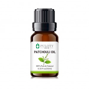 Pagkuha ng Plant Patchouli Essential Oil