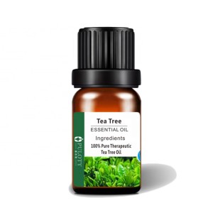 Herbal Extraction Tea Tree Essential Oil