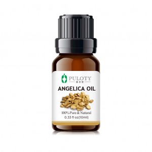 Hoge kwaliteit Angelica Dahurica-olie