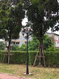 Solar Garden Light In Thailand 2