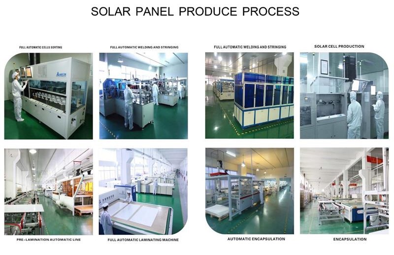 solar panel produce