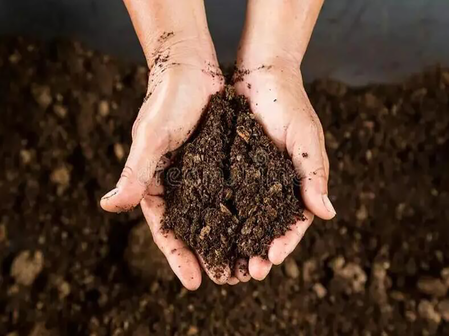 Инновационное применение соединения моноперсульфата калия – обработка почвы