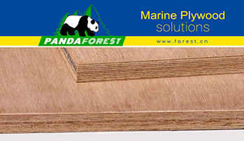 Marine Grade Plywood Transforming the Industry