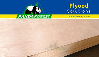 18mm Plywood – Revolutionizing Construction and Design