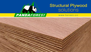 Marine Plywood Revolutionizes Durable Wood Solutions