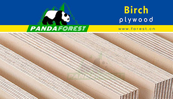 Birch Plywood Revolutionizes Woodworking and Construction