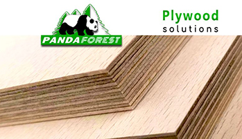 4×8 Plywood Revolution by PANDA Forest