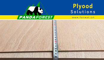 Plywood Sheets from China Forest: Revolutionizing Timber Panels