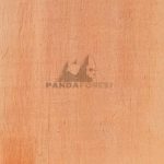 F22-Structural-Plywood-B-GRADE-150x1507tw