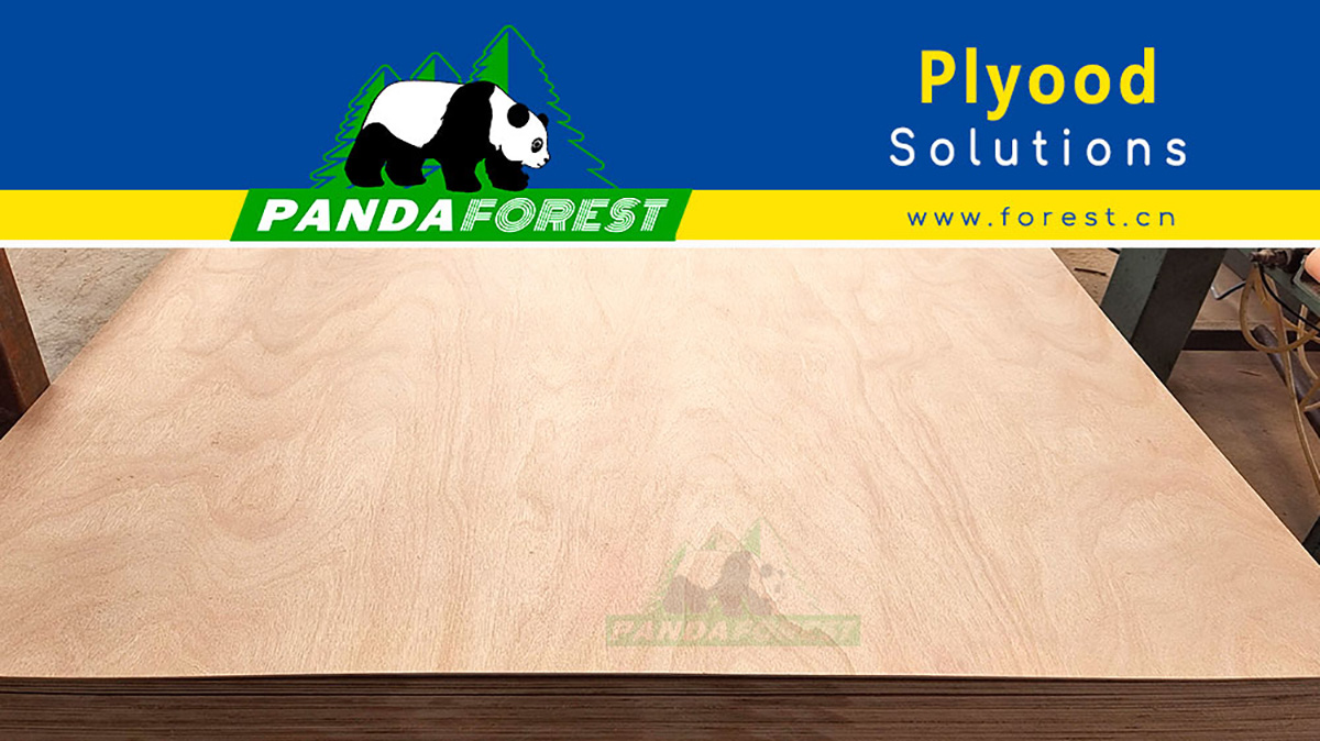12mm Plywood Revolutionizing Building Solutions3g67