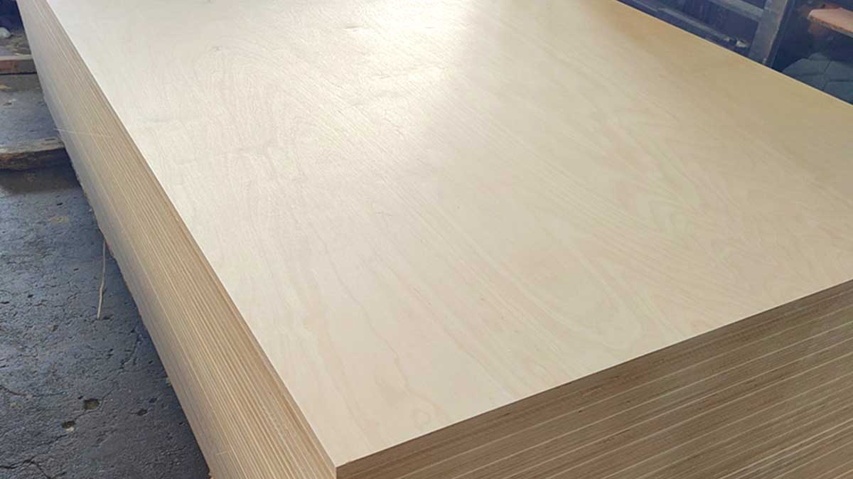 birch-plywood-69ivy