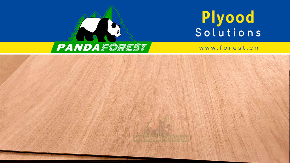 Plywood Suppliers Transforming the Market
