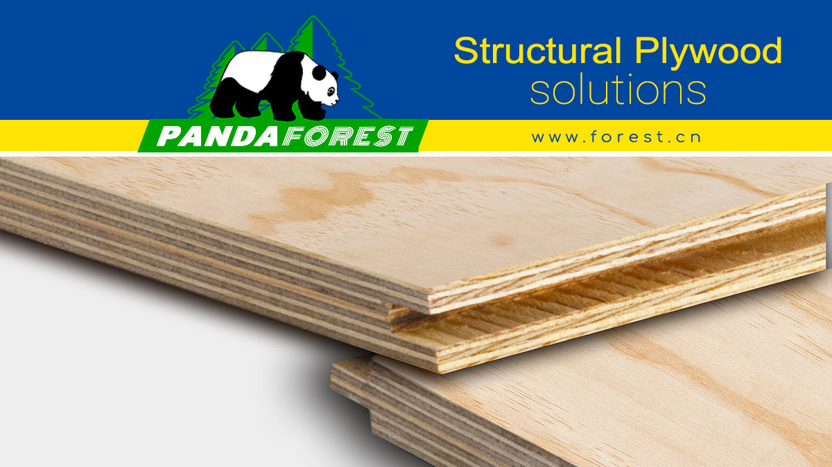 Structural Plywood: The Backbone of Modern Construction