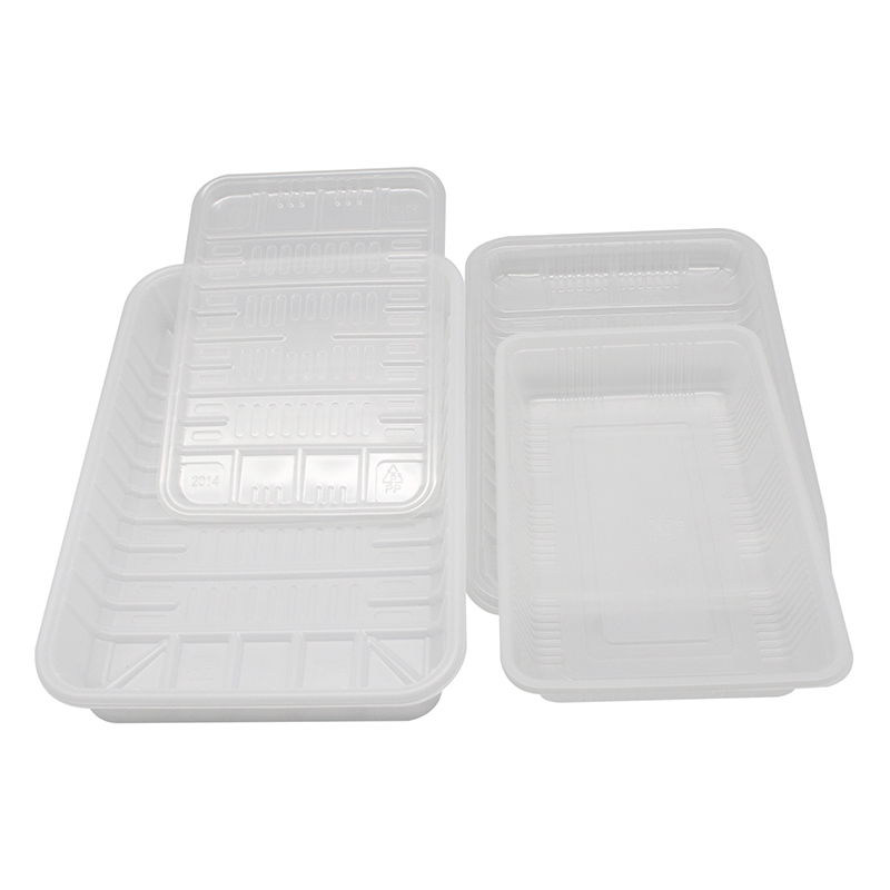 Plastic disposable tray (2)ur6