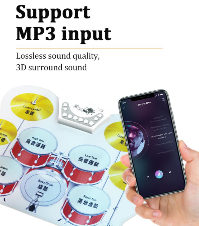 W1008 Foldable Portable Music 10mww