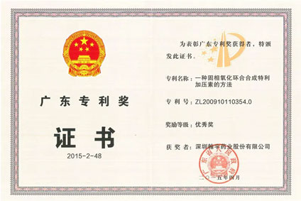 Guangdong-Patent-Award-Certificatefil
