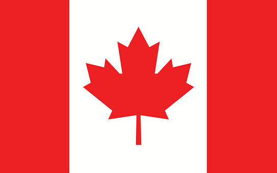 कनाडाई गद्दा एंटी-डंपिंग (2)