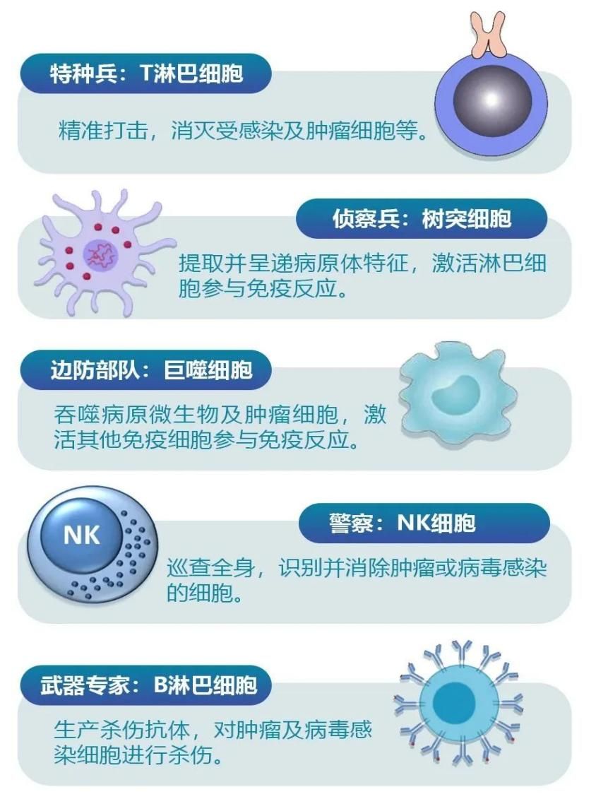 Immune Cell Therapy (1)0fk