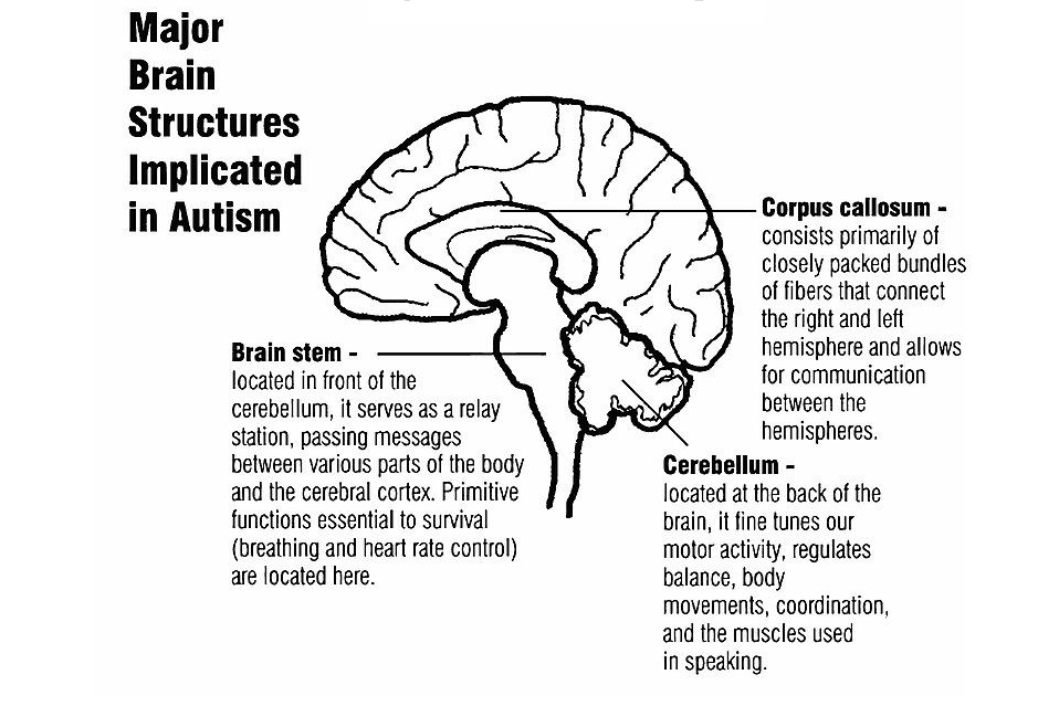Supporto biomedico completo per l'autismo Nuolai
