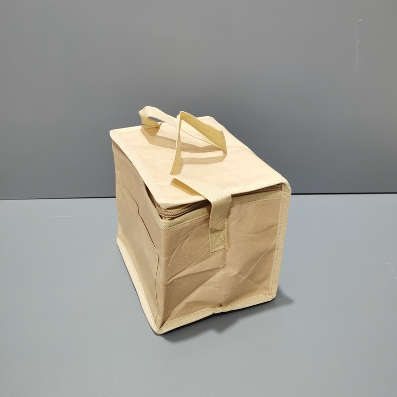 Räätälöity EcoCooler-laukku Tyvek-kankainen elintarvikkeiden kylmälaukku toimituspalveluun tai kylmäketju ACD-CW-004