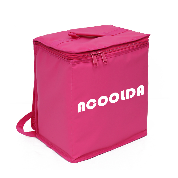 ໂຮງງານຜະລິດ OEM/ODM ປະເທດຈີນ Waterproof Foldable Take-out Food Delivery Bag Insulated Custom Thermal Bag 25L ACD-B-041