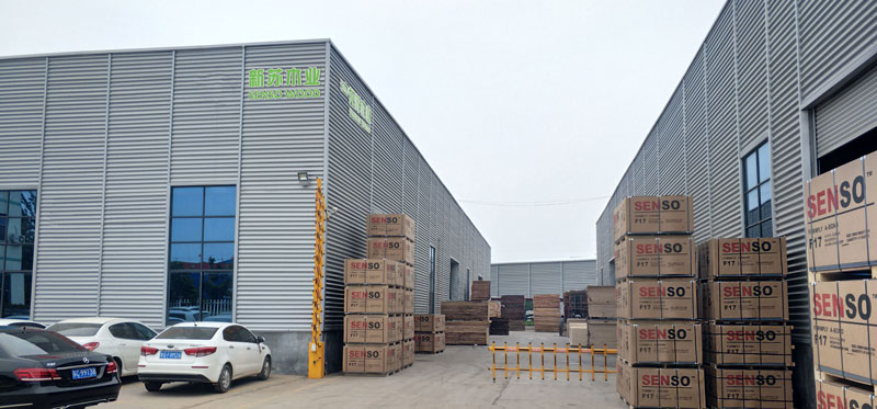 Home World Group espande la gamma di prodotti ROCPLEX con l'acquisizione di The Jiangsu Senso Building Materials