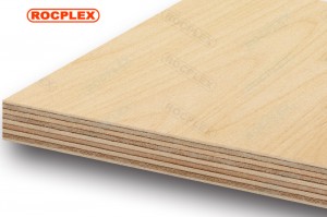 خشب البتولا الرقائقي 2440 × 1220 × 12 مم درجة القرص المضغوط (مشترك: 1/2 بوصة. 15/32 بوصة × 4 قدم × 8 قدم. لوحة مشروع البتولا)