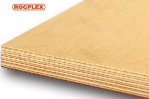 Birch Plywood 2440 x 1220 x 18mm CD Giredhi ( Common: 3/4 in. x 4ft. x 8ft. Birch Project Panel )