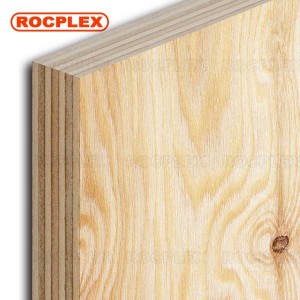 CDX Pine Plywood 2440 x 1220 x 12 mm CDX Grade Ply (Algemien: 1/2 in. 4 ft. x 8 ft. CDX Project Panel)
